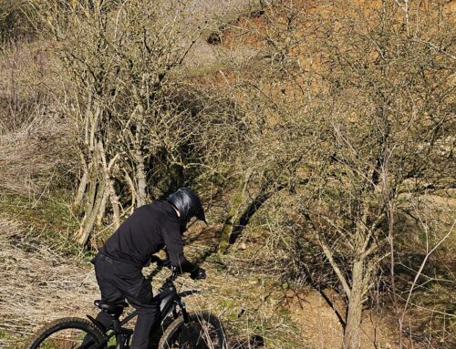 Nick’s One To One Ebike Session