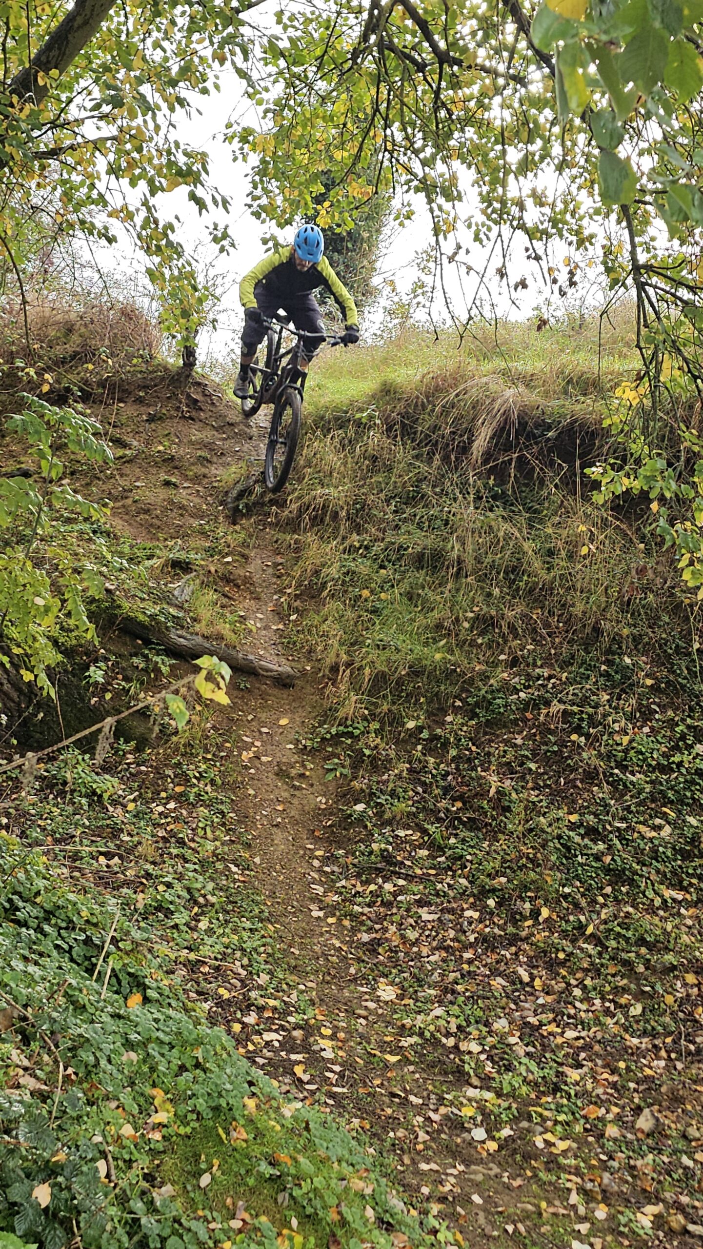 ukbikeskills mtb skills coaching mountain biking