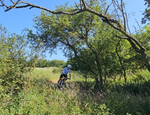 Xc Mtb Skills For Mark