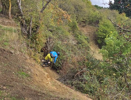 Line Selection, Cornering And Jumps For James